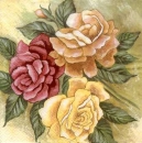 Serviette Rosen, Rarität